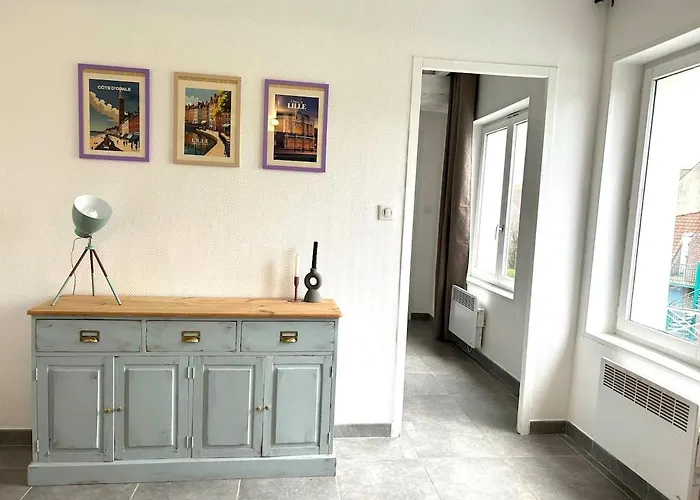 Superbe T2 Quai Du Wault! Dali * Λιλ